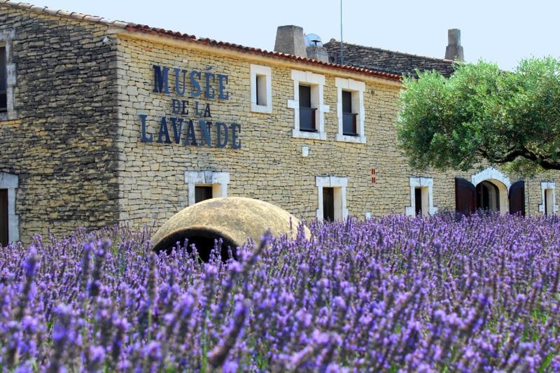 Chambre D Hotes Dans Le Vaucluse Mazan Ngoại thất bức ảnh