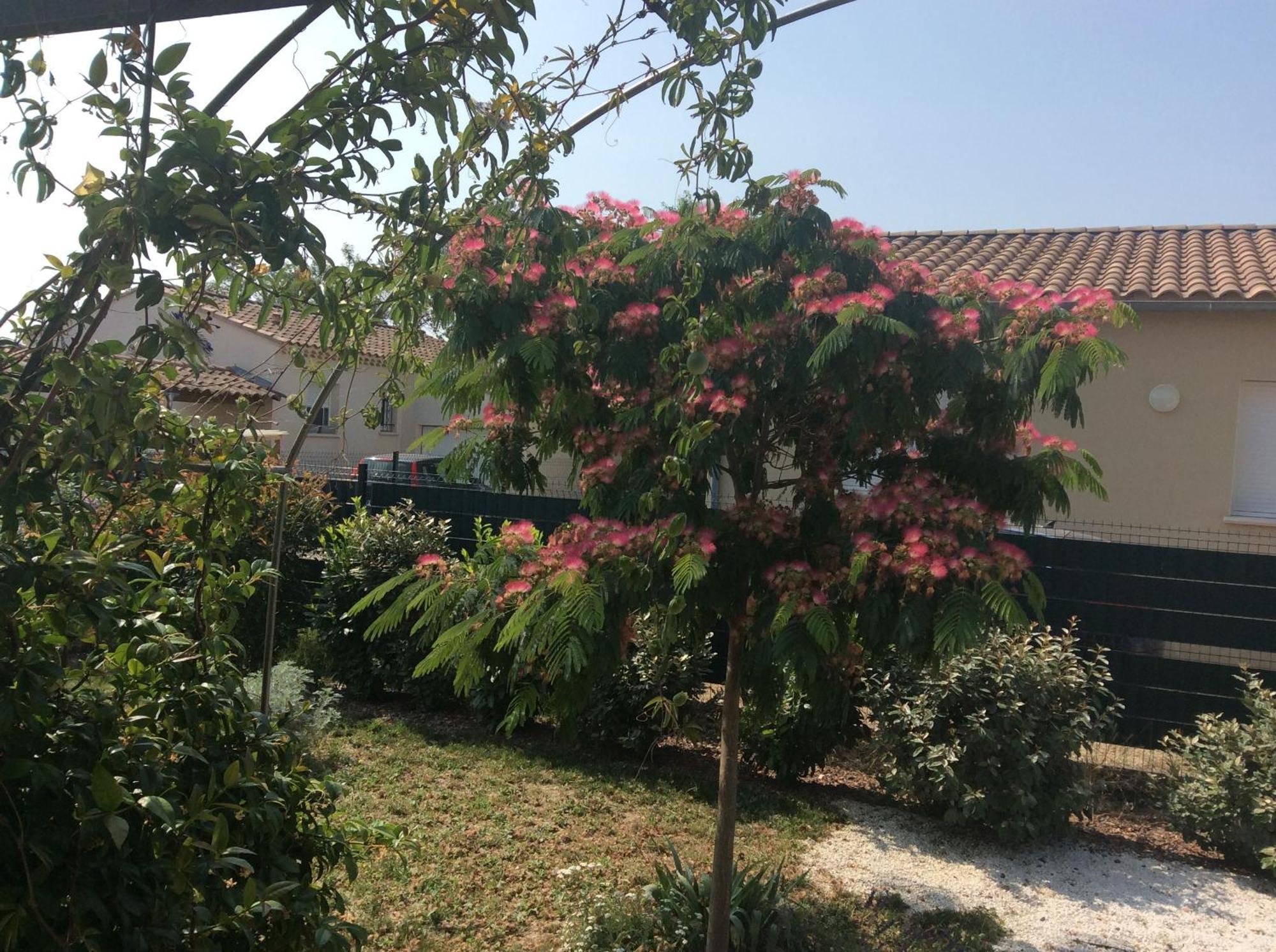 Chambre D Hotes Dans Le Vaucluse Mazan Ngoại thất bức ảnh